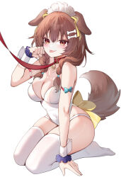 1girl :p absurdres alternate_costume animal_collar animal_ears arm_strap blush bone_hair_ornament braid breasts brown_eyes brown_hair cartoon_bone collar commentary covered_navel dog_ears dog_girl dog_tail double-parted_bangs frilled_wrist_cuffs frills full_body hair_between_eyes hair_ornament hair_over_shoulder hairclip hand_up highleg highleg_leotard highres hololive inugami_korone large_breasts leash leash_pull leotard long_hair looking_at_viewer low_twin_braids no_shoes playboy_bunny red_collar seiza simple_background sitting skindentation solo strapless strapless_leotard tail thighhighs tongue tongue_out twin_braids viewer_holding_leash virtual_youtuber white_background white_leotard white_thighhighs wrist_cuffs yukineko1018