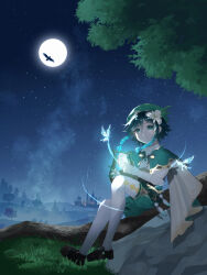1boy absurdres amedama_ameme aqua_hair bird black_hair black_shoes braid bug butterfly capelet closed_mouth flower full_body full_moon genshin_impact gold_trim grass green_capelet green_eyes hair_flower hair_ornament harp highres hill insect instrument loafers long_sleeves looking_at_viewer lyre male_focus moon multicolored_hair night outdoors rock shirt shoes short_hair sitting sky solo star_(sky) starry_sky streaked_hair thighhighs tree twin_braids venti_(genshin_impact) white_flower white_shirt white_thighhighs