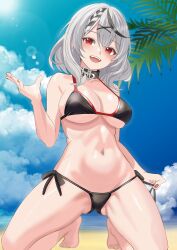 1girl bare_shoulders beach belt bikini black_belt black_bikini black_choker black_collar black_hair blue_sky blush braid braided_bangs breasts choker cleavage cloud cloudy_sky collar collarbone day fangs gluteal_fold grey_hair hair_ornament hairclip heart_collar highres hololive large_breasts looking_at_viewer medium_hair multicolored_hair navel ocean open_mouth outdoors palm_tree red_eyes red_trim rijeka1918 sakamata_chloe sand side-tie_bikini_bottom sky smile solo stomach streaked_hair sunlight swimsuit teeth thighs tree two-tone_hair virtual_youtuber