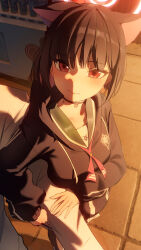 Rule 34 | 1boy, 1girl, absurdres, animal ears, black hair, blue archive, blush, breasts, cat ears, colored inner hair, extra ears, green sailor collar, halo, highres, kazusa (blue archive), long sleeves, looking at viewer, medium breasts, multicolored hair, neckerchief, pink hair, pink neckerchief, red eyes, sailor collar, short hair, two-tone hair, yuyiosang