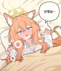 1girl animal_ear_fluff animal_ears blue_archive blue_eyes blush cat_ears cat_girl choi1 closed_mouth hair_between_eyes head_on_pillow highres long_hair mari_(blue_archive) on_bed orange_hair pillow shirt sick sidelocks solo sweatdrop under_covers wet wet_clothes wet_shirt