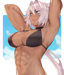 1girl abs absurdres animal_ears armpits arms_behind_head arms_up bare_shoulders bikini black_bikini blue_eyes blue_sky breasts caenis_(fate) caenis_(swimsuit_rider)_(fate) caenis_(swimsuit_rider)_(first_ascension)_(fate) cleavage cloud dark-skinned_female dark_skin deccatezu fate/grand_order fate_(series) highres large_breasts long_hair looking_to_the_side navel open_mouth sky solo sweat swimsuit toned toned_female very_long_hair white_hair