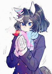 1girl animal_ears black_hair blue_coat blue_eyes breath closed_mouth coat crossed_bangs ear_covers hair_between_eyes hi_(ibisf5umauma) highres horse_ears horse_girl horse_tail katsuragi_ace_(umamusume) long_sleeves mittens motion_lines multicolored_hair own_hands_together ponytail scarf short_hair solo streaked_hair tail twitter_username umamusume upper_body v-shaped_eyebrows watermark white_background