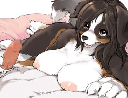 1boy 1girl animal_feet body_fur breasts brown_eyes brown_fur brown_hair claws commentary_request dog_girl erection furry furry_female hand_on_another&#039;s_chest handjob hetero kikurage_(crayon_arts) large_breasts long_hair looking_at_viewer original pov short_hair tail white_background white_fur