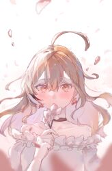 Rule 34 | 1girl, ahoge, alternate costume, bare shoulders, berry, black choker, blush, brown eyes, brown hair, choker, collarbone, colored inner hair, covered mouth, crossed bangs, earrings, falling petals, floating hair, flower, food-themed earrings, frilled shirt, frills, highres, hirasawa izumi, holding, holding flower, hololive, hololive english, huge ahoge, jewelry, long hair, looking at viewer, multicolored hair, nanashi mumei, off-shoulder shirt, off shoulder, off shoulder shirt, petals, pink hair, puffy sleeves, shirt, simple background, solo, streaked hair, virtual youtuber, white background, white shirt, wind, wind lift