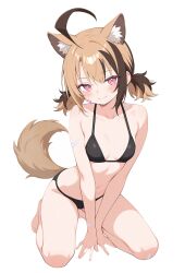 1girl absurdres ahoge ai-assisted animal_ear_fluff animal_ears bikini black_bikini blonde_hair blush breasts dog_ears dog_tail gigi_murin highres hololive hololive_english huge_ahoge kneeling looking_at_viewer multicolored_hair red_eyes short_hair short_twintails simple_background small_breasts smile solo swimsuit tail twintails two-tone_hair virtual_youtuber white_background xyerayume