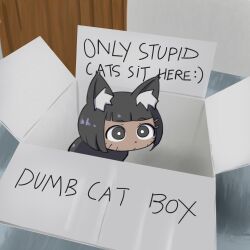 1girl animal_ear_fluff animal_ears black_eyes black_hair bob_cut box bright_pupils cat_ears cat_girl cat_tail closed_mouth dark-skinned_female dark_skin dot_nose english_text facial_mark in_box in_container indoors mad_mex meme original photo-referenced short_hair solo tail whisker_markings white_pupils