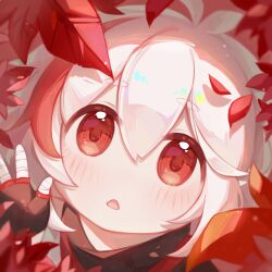 1girl ahoge autumn_leaves bandages blurry blurry_foreground blush chibi close-up commentary deformed depth_of_field double-parted_bangs fingerless_gloves flower genshin_impact gloves highres kaedehara_kazuha leaf looking_at_viewer mibai_yume open_mouth parted_lips red_eyes red_flower red_leaf short_hair solo white_hair