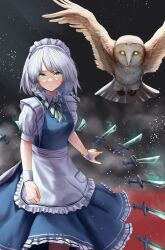 1girl apron barn_owl bird black_background blue_dress blue_eyes bow braid breasts closed_mouth collared_shirt dress feet_out_of_frame frilled_apron frills green_bow green_ribbon grey_hair hair_bow highres izayoi_sakuya knife light_particles looking_at_viewer maid maid_headdress medium_hair neck_ribbon owl puffy_short_sleeves puffy_sleeves ribbon shirt short_sleeves smoke solo standing teruteru12 touhou twin_braids waist_apron weapon_formation white_apron white_shirt white_wrist_cuffs wrist_cuffs