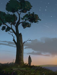 1boy cambocreation cloak cloud dusk falling_star flower from_behind grass highres hill looking_ahead night original painterly scenery sky standing star_(sky) starry_sky tree watermark