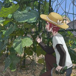 1girl anchannnnnn black_shirt blue_sky brown_pants building cucumber drill_hair fence gardening hat highres kasane_teto leaf outdoors pants red_hair shirt sky solo squatting twin_drills vocaloid white_shirt