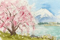 blue_sky cherry_blossoms commentary_request day lake mount_fuji no_humans original outdoors painting_(medium) scenery sky tj_(tenjiku200) traditional_media tree watercolor_(medium)