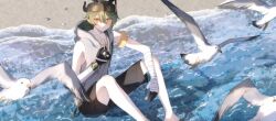 Rule 34 | 1boy, absurdres, animal, beach, bird, black headwear, black horns, black shorts, eve (meltdown), hair between eyes, highres, honkai (series), honkai impact 3rd, horns, kosma, male focus, outdoors, seagull, short hair, shorts, sitting, sleeveless, solo, water