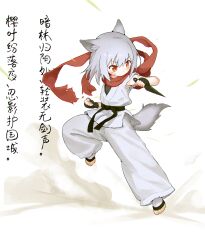 1girl absurdres animal_ear_fluff animal_ears barefoot belt black_belt black_gloves chinese_commentary chinese_text clenched_hand commentary_request dot_nose dougi frown full_body gloves grey_hair highres holding_kunai holding_weapon kuma-bound kunai martial_arts_belt ninja original pants red_eyes red_scarf scarf solo toes translation_request v-shaped_eyebrows weapon white_pants