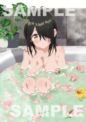 Rule 34 | 1girl, antenna hair, bath, bathroom, black hair, blush, breasts, cleavage, closed mouth, collarbone, commentary request, flower, flower pot, hair over one eye, knees up, long hair, looking at viewer, medium breasts, nude, official art, partially submerged, petals, petals on liquid, pink flower, pink petals, plant, potted plant, rubber duck, sample watermark, shade, shiny skin, shiunji-ke no kodomotachi, shiunji kotono, shy, sitting, solo, steam, water, watermark, wet, yellow eyes