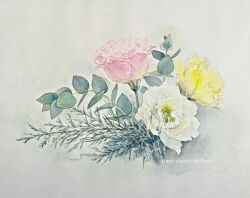 Rule 34 | artist name, english text, eustoma, flower, flower focus, herb, highres, leaf, no humans, nori02222, original, painting (medium), pink flower, plant, plant focus, still life, traditional media, watercolor (medium), white background, white flower, yellow flower