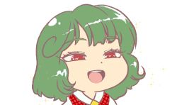1girl :d ara_ara ascot blush_stickers chibi collared_shirt green_hair gyate_gyate jaggy_lines kazami_yuuka medium_hair meme open_mouth pinky_out plaid_clothes plaid_vest portrait red_eyes red_vest shirt simple_background smile solo sparkle touhou transparent_background vest yellow_ascot yklvr