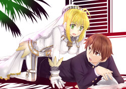blonde_hair book bridal_veil brown_eyes brown_hair commentary_request eye_contact fate/extra fate/extra_ccc fate_(series) gakuran girl_on_top kishinami_hakuno_(male) looking_at_another looking_back lying nero_claudius_(bride)_(fate) nero_claudius_(fate) on_stomach open_mouth school_uniform tree turning_page urako veil window yellow_eyes