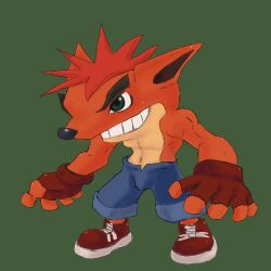 1boy brown_gloves crash_bandicoot furry furry_male gloves green_eyes male_focus non-web_source pants red_shoes shoes smile