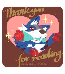 Rule 34 | animal ear fluff, blue fur, body fur, border, brown background, dated, digimon, digimon (creature), digimon seekers, english text, flower, forehead jewel, holding, holding flower, kariki hajime, loogamon, mouth hold, pink background, red eyes, red flower, red rose, rose, simple background, sparkle, thank you, transparent border, twitter username, valentine, white fur, wolf