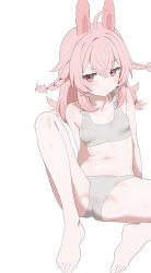 Rule 34 | 1girl, absurdres, animal ears, barefoot, blush, bra, braid, breasts, closed mouth, commentary request, grey bra, grey panties, highres, korean commentary, long hair, navel, onion (tamanegi), panties, phase connect, pink eyes, pink hair, pipkin pippa, rabbit ears, rabbit girl, simple background, small breasts, solo, toes, twin braids, underwear, underwear only, virtual youtuber, white background