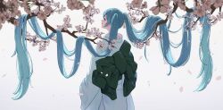 1girl absurdly_long_hair aqua_eyes aqua_hair blue_kimono bow branch cherry_blossoms commentary cowboy_shot falling_petals flower from_behind green_bow green_sash hair_flowing_over hatsune_miku highres japanese_clothes kimono long_hair looking_up miku_day petals pink_flower sash solo symbol-only_commentary twintails very_long_hair vocaloid yuiai