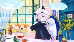 1girl :3 animal_hood ao_fujimori book bookshelf bottle brush cat_hood chair clock cloud coin_purse cup curtains day dog flower hand_on_own_knee highres hood hoodie long_hair looking_at_viewer mirror perfume_bottle pink_hair pot radio room shiba_inu sitting socks table teacup teapot yellow_eyes