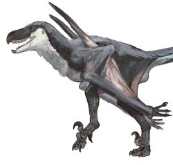 absurdres beak claws dinosaur dinosaur_tail feathered_dinosaur highres jurassic_world:_rebirth mossacannibalis mutation no_humans prehistoric_animal raptor tail talons white_background wings