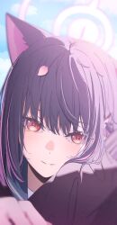 1girl absurdres animal_ears black_hair black_jacket blue_archive blush cat_ears cherry_blossoms halo highres jacket kazusa_(blue_archive) light_smile looking_at_viewer multicolored_hair oyaji_hime petal_on_head pink_hair red_eyes school_uniform solo two-tone_hair