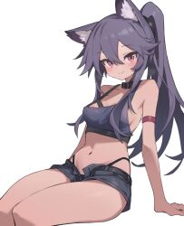 Rule 34 | 1girl, aku0, animal ear fluff, animal ears, belt collar, black collar, black hair, black shorts, breasts, claw pose, closed mouth, collar, commentary, commission, crop top, highres, long hair, looking at viewer, micro shorts, navel, original, panties under shorts, pixiv commission, ponytail, purple eyes, shorts, simple background, small breasts, smile, solo, symbol-only commentary, white background