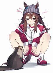 1girl animal_ears beanie brown_hair closed_mouth grey_hat hat highres horse_ears horse_girl jacket jenshenya long_hair looking_at_animal nakayama_festa_(umamusume) purple_eyes red_shoes red_shorts shoes shorts solo squatting tracen_training_uniform track_jacket umamusume