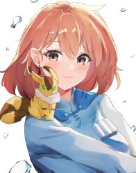 Rule 34 | 1girl, absurdres, animal, animal on shoulder, blue dress, blush, breasts, brown eyes, brown hair, closed mouth, commission, creature, dress, earrings, elphe, hair between eyes, highres, jewelry, kaze no tani no nausicaa, light smile, long sleeves, looking at viewer, nausicaa, non-web source, pet, short hair, teardrop earrings, teto (nausicaa), upper body, water drop, white background