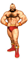Rule 34 | 1boy, capcom vs snk, chest hair, highres, red swim briefs, shinkirou, street fighter, street fighter ii (series), zangief