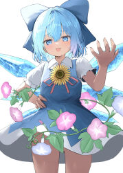 1girl blue_bow blue_dress blue_eyes blue_hair blush bow cirno commentary_request convenient_censoring dress flower hair_bow hand_on_own_hip highres ice ice_wings looking_at_viewer mikan_(manmarumikan) no_panties open_mouth puffy_sleeves ribbon shirt short_hair short_sleeves solo sunflower tan tanned_cirno touhou white_background wings