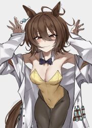 1girl agnes_tachyon_(umamusume) ahoge animal_ears bare_shoulders black_bow black_bowtie black_pantyhose blush bow bowtie breasts brown_eyes brown_hair cleavage commentary cowboy_shot detached_collar english_commentary grey_background hair_between_eyes hands_up highleg highleg_leotard highres horse_ears horse_girl horse_tail lab_coat leotard long_sleeves looking_at_viewer medium_breasts off_shoulder open_clothes pantyhose short_hair simple_background sleeves_past_wrists smile solo strapless strapless_leotard tail test_tube umamusume xcider yellow_leotard