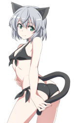 1girl animal_ears ass bikini black_bikini blush breasts butt_crack cat_ears cat_girl cat_tail closed_mouth green_eyes grey_hair looking_at_viewer nanashino sanya_v._litvyak short_hair side-tie_bikini_bottom simple_background small_breasts smile solo strike_witches swimsuit tail white_background world_witches_series