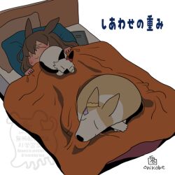 Rule 34 | 1girl, admire vega (umamusume), animal ears, animalization, bed, blush, brown hair, cat, closed eyes, closed mouth, commentary request, curren chan (umamusume), dog, horse ears, horse girl, long hair, narita top road (umamusume), onikobe rin, pillow, siamese cat, simple background, sleeping, smile, solo, translation request, umamusume, upper body, watermark, white background