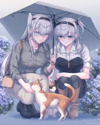 2girls animal black_boots black_headband black_pantyhose black_ribbon black_skirt blue_eyes blue_flower blush boots breasts brown_boots cat chromatic_aberration closed_mouth flower fuyutsuki_(kancolle) fuyutsuki_(rainy_season)_(kancolle) grey_hair grey_skirt hair_between_eyes hair_ribbon headband highres holding kabocha_torute kantai_collection large_breasts long_hair multiple_girls one_side_up pantyhose parted_lips petting puffy_short_sleeves puffy_sleeves rain ribbon shared_umbrella shirt short_sleeves simple_background skirt squatting suzutsuki_(kancolle) umbrella very_long_hair wet wet_clothes