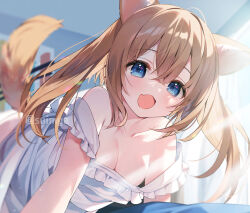 1girl :3 :d animal_ears artist_name bare_shoulders blue_eyes blurry breasts brown_hair character_request cleavage collarbone depth_of_field dog_tail fang female_focus frills indoors long_hair looking_at_viewer open_mouth smile solo suimya sunlight tagme tail watermark
