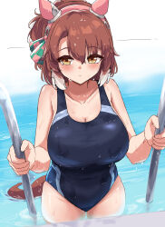 1girl absurdres animal_ears blue_one-piece_swimsuit bow breasts brown_hair dantsu_flame_(umamusume) ear_covers ear_ribbon gryebooks hair_between_eyes highres horse_ears horse_girl horse_tail large_breasts looking_at_viewer multicolored_hair one-piece_swimsuit partially_submerged pool solo swimsuit tail thighs two-tone_hair umamusume wet wet_clothes wet_hair wet_swimsuit white_hair yellow_eyes