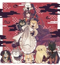 1girl absurdres animal animal_on_head apron bernese_mountain_dog brown_hair commentary dog dog_on_head egasumi fate/grand_order fate_(series) flower german_shepherd golden_retriever hair_flower hair_ornament highres holding holding_animal holding_dog husky japanese_clothes kimono kyokutei_bakin_(fate) kyokutei_bakin_(first_ascension)_(fate) long_hair multiple_dogs noa_pisces on_head ponytail red_background red_eyes samoyed_(dog) shiba_inu smile too_many too_many_dogs very_long_hair welsh_corgi