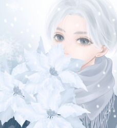 1boy blue_eyes christmas covered_mouth eyelashes flower flower_over_mouth grey_hair grey_scarf highres kogaayumi looking_at_viewer male_focus original parted_bangs poinsettia portrait scarf short_hair snowing solo white_background white_theme winter