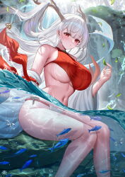1girl absurdres azur_lane bikini blush breasts dragon_girl dragon_horns dragon_tail fundoshi hair_on_horn highres holding horns japanese_clothes large_breasts leaf long_hair looking_at_viewer navel open_mouth partially_submerged red_eyes red_fundoshi revealing_clothes shimanto_(azur_lane) shimanto_(the_relaxing_dragon_god)_(azur_lane) shiny_skin sitting solo swimsuit tail tankini tansuan_(ensj3875) underboob water waterfall white_hair