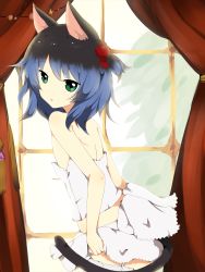 1boy animal_ears black_hair blue_hair cat_ears cat_tail crossdressing crossdressing_(mtf) from_behind gradient_hair green_eyes hair_bobbles hair_ornament highres kiki_(tsunya) lingerie looking_at_viewer male_focus multicolored_hair ryoune_yami saru_to_yami short_hair solo tail thighhighs trap underwear undressing utau