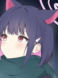 animal_ears black_jacket blue_archive blush cat_ears close-up colored_inner_hair commentary_request green_scarf halo highres jacket kazusa_(blue_archive) kurumi_kororin medium_hair multicolored_hair night pink_hair pink_halo portrait purple_hair red_eyes scarf sidelocks sky