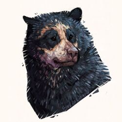 animal animal_focus bear black_fur commentary cropped_head english_commentary giulialibard highres no_humans original realistic simple_background snout solo spectacled_bear white_background