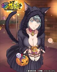 animal_costume animal_hands bell blush breast_focus breasts card_(medium) cat_costume copyright_logo copyright_name gloves grey_eyes grey_hair halloween_bucket halloween_costume jingle_bell karakuri_circus large_breasts lowres official_art paw_gloves shirogane_(karakuri_circus)