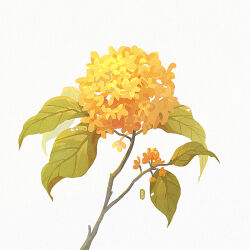 branch flower gold_osmanthus huhv. leaf no_humans orange_flower original plant signature simple_background still_life white_background yellow_flower