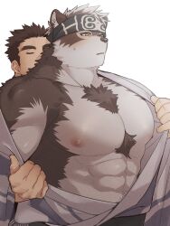 2boys abs ainu_clothes animal_ears bara black_hair blush chest_tuft closed_eyes facial_hair furry furry_male furry_with_non-furry grey_fur grey_hair headband highres horkeu_kamui interspecies japanese_clothes kimono large_pectorals male_focus multiple_boys muscular muscular_male navel nipples open_clothes open_kimono opening_another&#039;s_clothes pectorals protagonist_3_(housamo) short_hair sideburns_stubble simple_background stubble sweatdrop thick_eyebrows tokyo_houkago_summoners two-tone_fur upper_body wanijima white_background wolf_boy wolf_ears yaoi