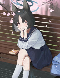 Rule 34 | 1girl, absurdres, animal ears, black hair, blue archive, blue sailor collar, blue skirt, blunt ends, blush, cat ears, cat girl, cat tail, cherry blossoms, closed mouth, crossed legs, grey eyes, hands on own face, highres, katancotton, kikyou (blue archive), kneehighs, multiple tails, on bench, parted bangs, sailor collar, shirt, short hair, sitting, skirt, socks, solo, tail, two tails, white shirt, white socks